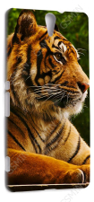�����-�������� ��� Sony Xperia C5 Ultra (�����) (������ 174)