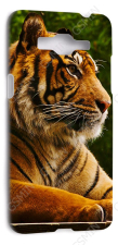 �����-�������� ��� Samsung Galaxy Grand Prime G530H (�����) (������ 174)