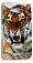 �����-�������� ��� Sony Xperia E4g (�����) (������ 178)